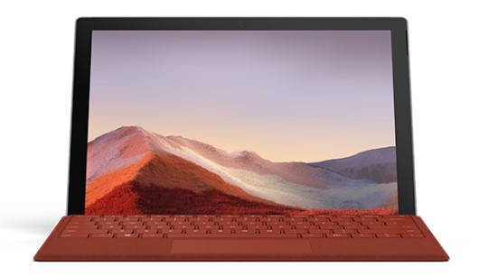 宾县清洁和维护 Surface
